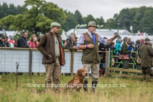 Game Fair_2019